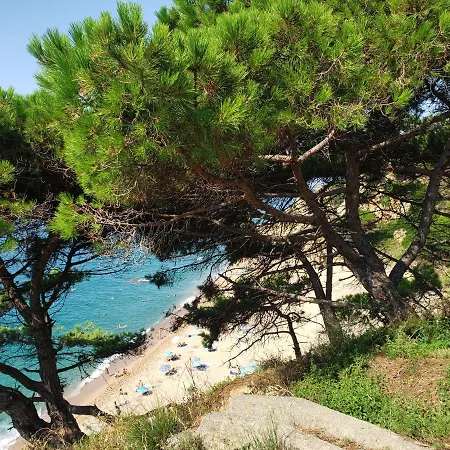 Апартаменты Apart.3 Habit.mar-mont. Ac-terraza-ascensor-parking *