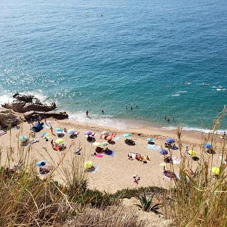 Apart.3 Habit.mar-mont. Ac-terraza-ascensor-parking