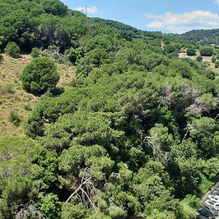 Apart.3 Habit.mar-mont. Ac-terraza-ascensor-parking 칼레라