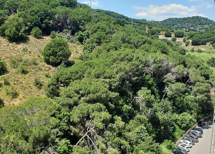 Apart.3 Habit.mar-mont. Ac-terraza-ascensor-parking Calella