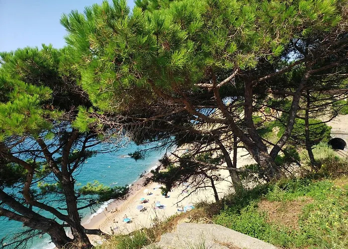 Apartamento Apart.3 Habit.mar-mont. Ac-terraza-ascensor-parking *