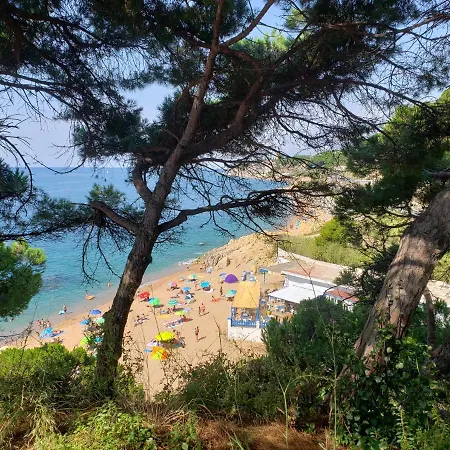 Apart.3 Habit.mar-mont. Ac-terraza-ascensor-parking Apartment Calella